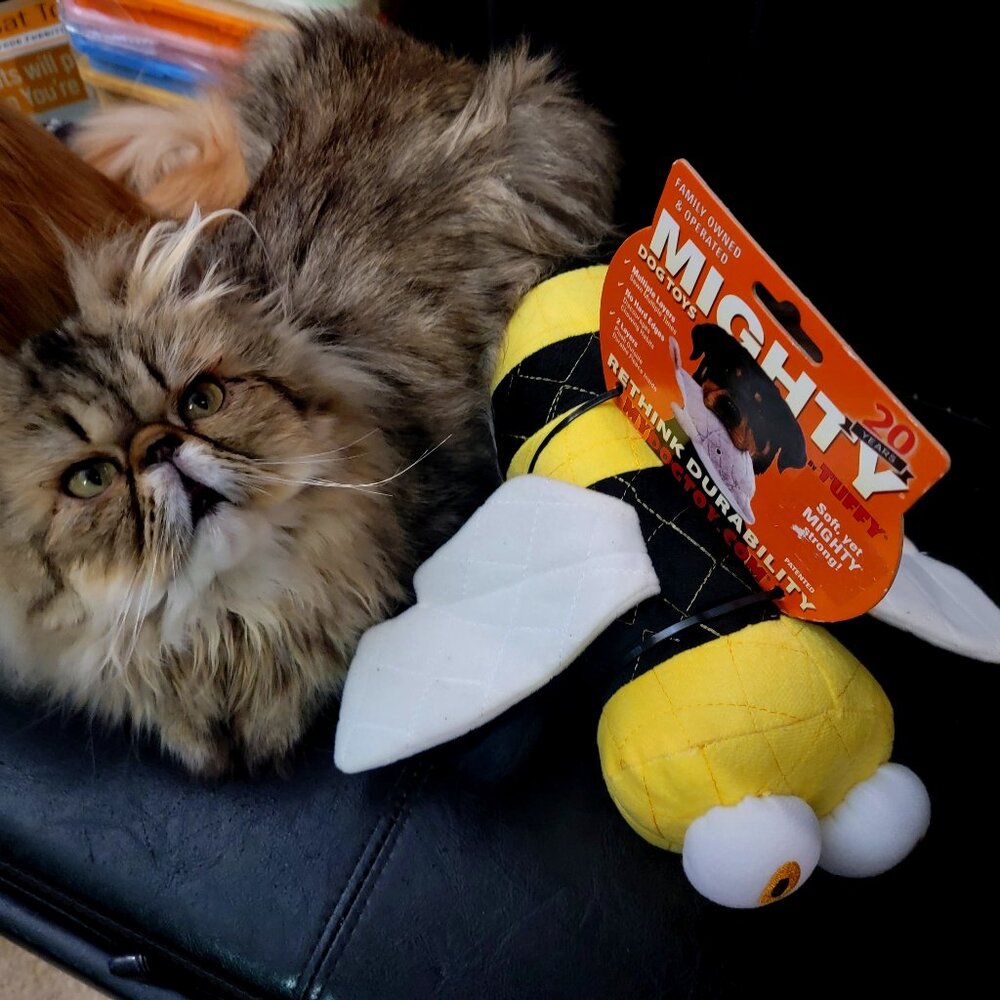 Mighty Bee Dog Toy Xlarge Durable ea.